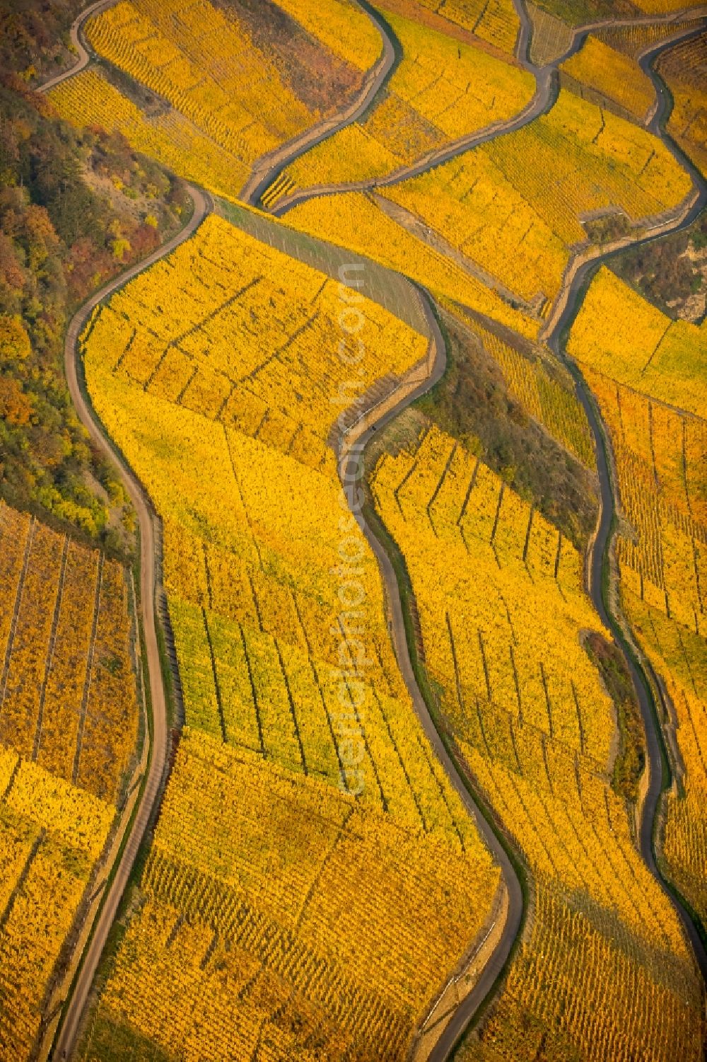 Aerial image Brey - Fields of wine cultivation landscape in Brey in the state Rhineland-Palatinate