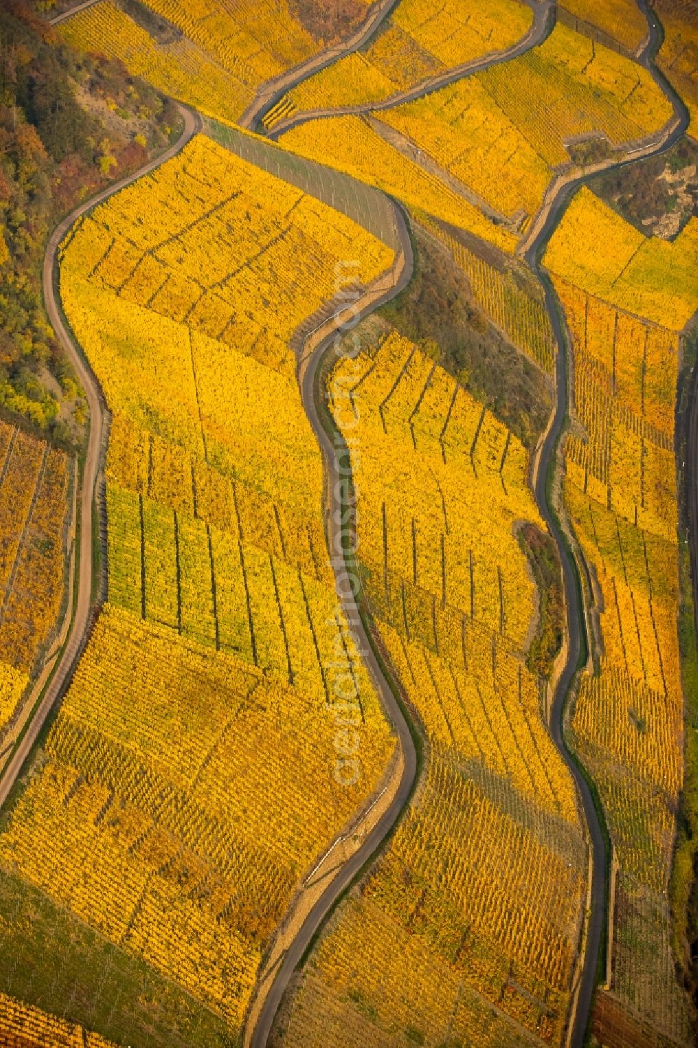 Aerial photograph Brey - Fields of wine cultivation landscape in Brey in the state Rhineland-Palatinate