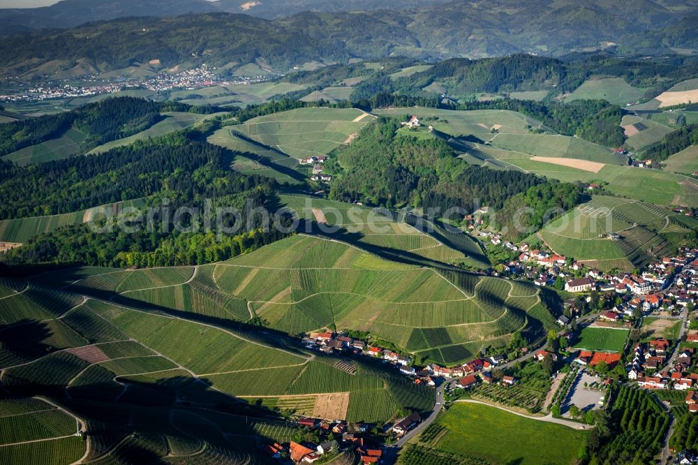 Aerial image Durbach - Fields of wine cultivation landscape in Durbach in the state Baden-Wuerttemberg