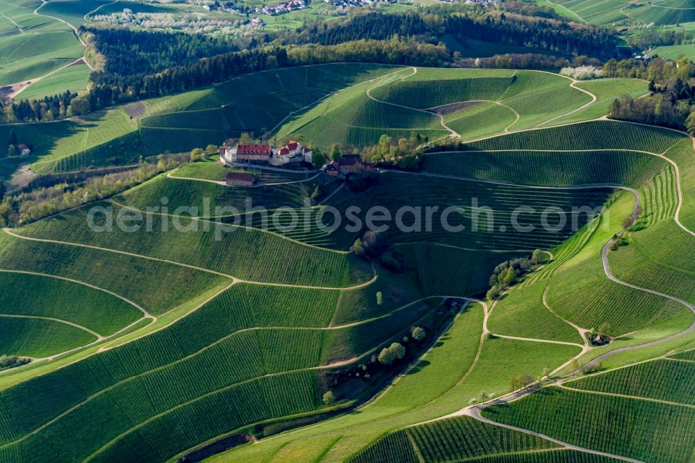 Durbach from above - Fields of wine cultivation landscape in Durbach in the state Baden-Wuerttemberg, Germany