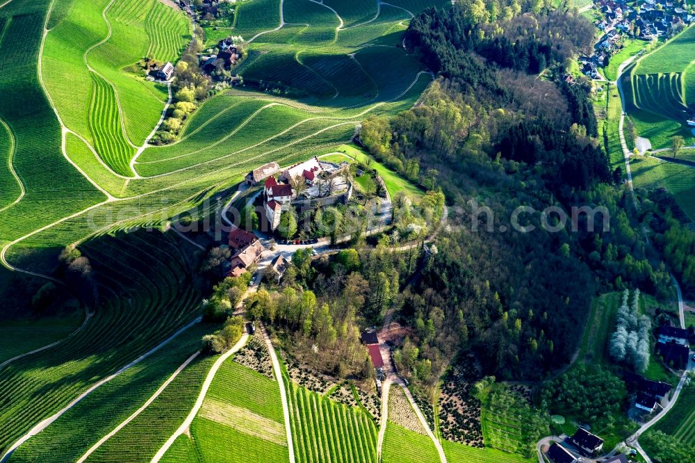 Durbach from the bird's eye view: Fields of wine cultivation landscape in Durbach in the state Baden-Wuerttemberg, Germany