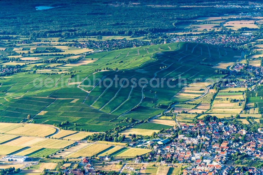 Ehrenkirchen from above - Fields of wine cultivation landscape in Ehrenkirchen in the state Baden-Wurttemberg, Germany