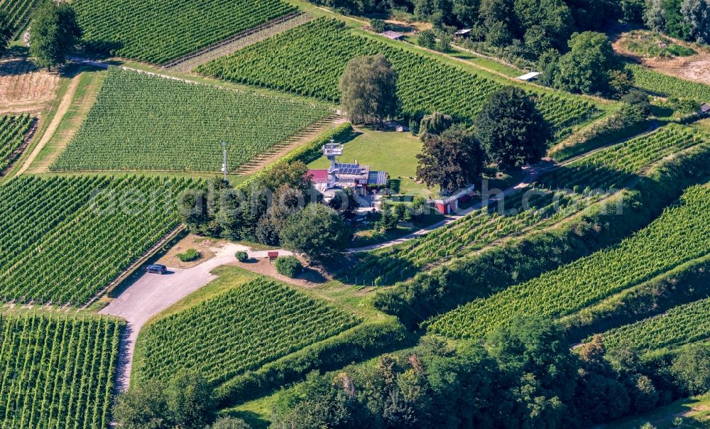 Ettenheim from above - Fields of wine cultivation landscape in Ettenheim in the state Baden-Wuerttemberg, Germany