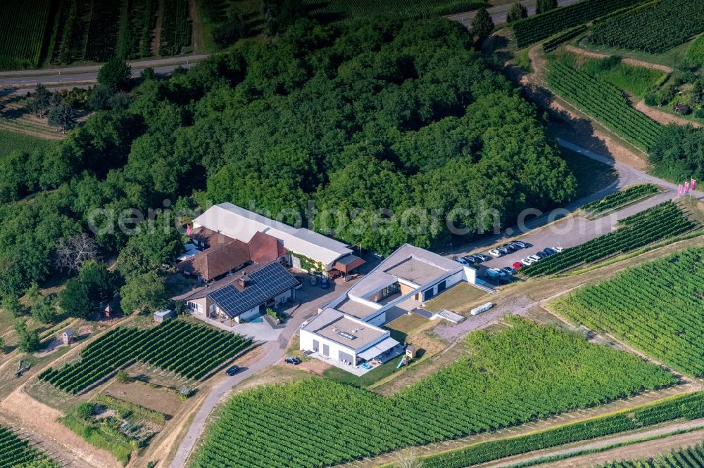 Aerial image Ettenheim - Fields of wine cultivation landscape in Ettenheim in the state Baden-Wurttemberg, Germany