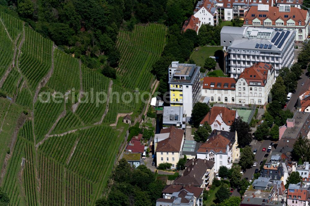 Aerial photograph Freiburg im Breisgau - Fields of wine cultivation landscape in the district Oberau in Freiburg im Breisgau in the state Baden-Wuerttemberg, Germany