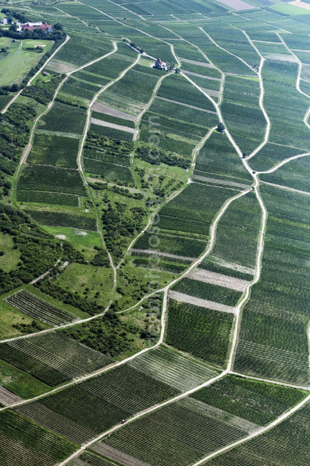 Aerial photograph Gau-Bickelheim - Fields of wine cultivation landscape in Gau-Bickelheim in the state Rhineland-Palatinate, Germany