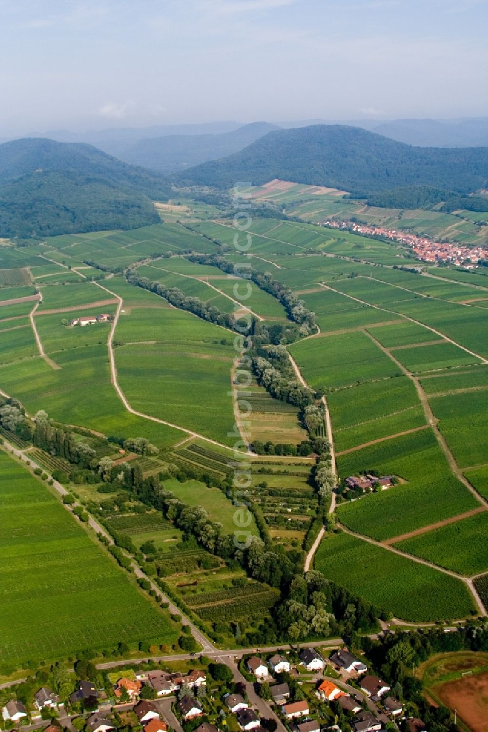 Aerial photograph Ilbesheim bei Landau in der Pfalz - Fields of wine cultivation landscape in Ilbesheim bei Landau in der Pfalz in the state Rhineland-Palatinate