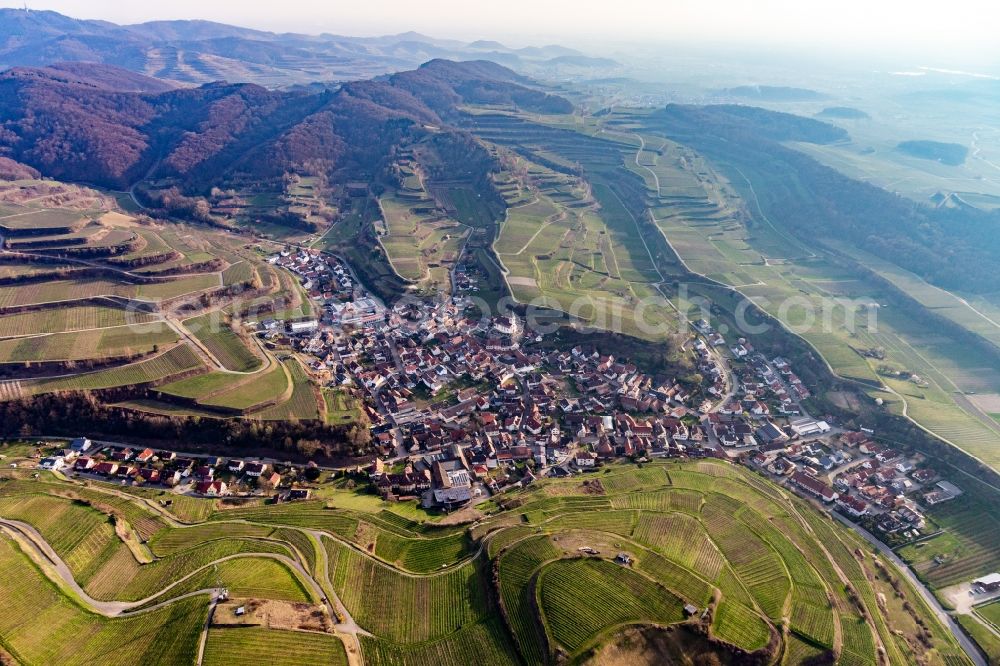 Aerial photograph Kiechlinsbergen - Fields of wine cultivation landscape in Kiechlinsbergen in the state Baden-Wurttemberg, Germany