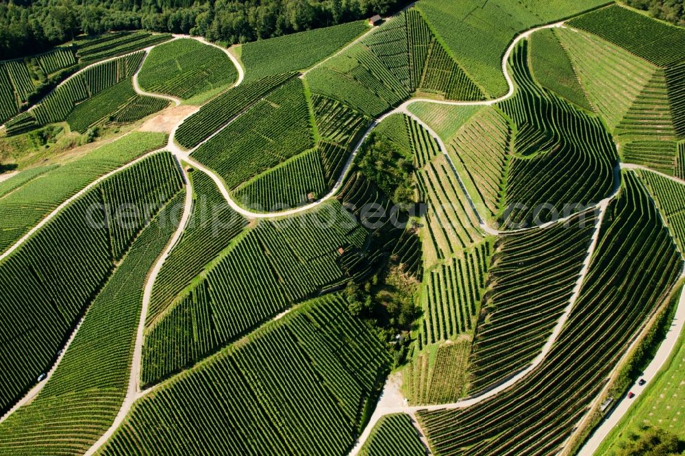 Aerial image Kappelrodeck - Fields of wine cultivation landscape in Kappelrodeck in the state Baden-Wuerttemberg