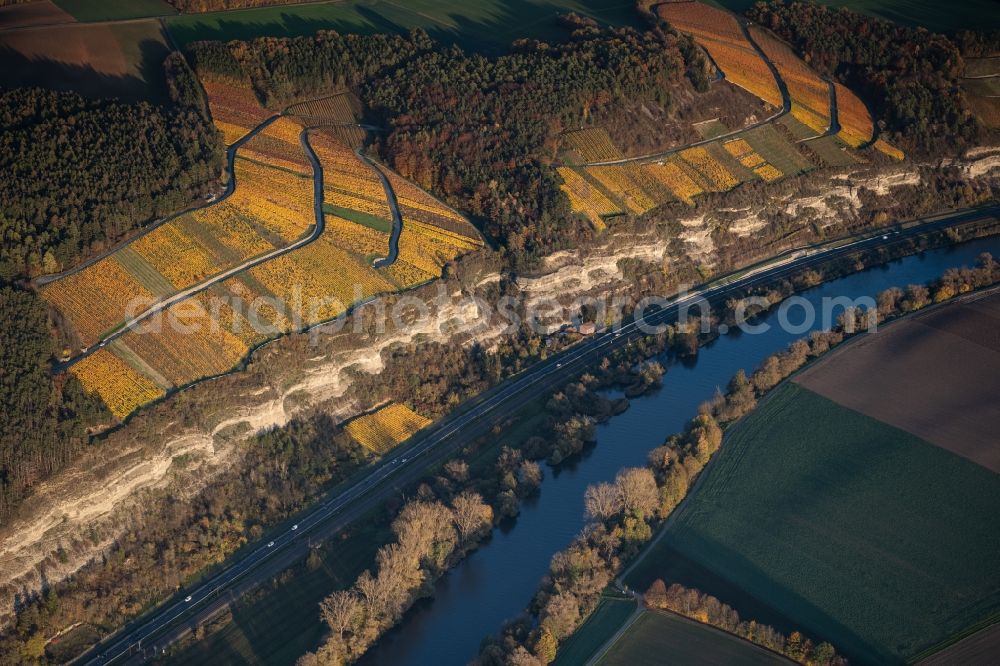 Aerial photograph Karlstadt - Fields of wine cultivation landscape on the Main river in Karlstadt in the state Bavaria, Germany