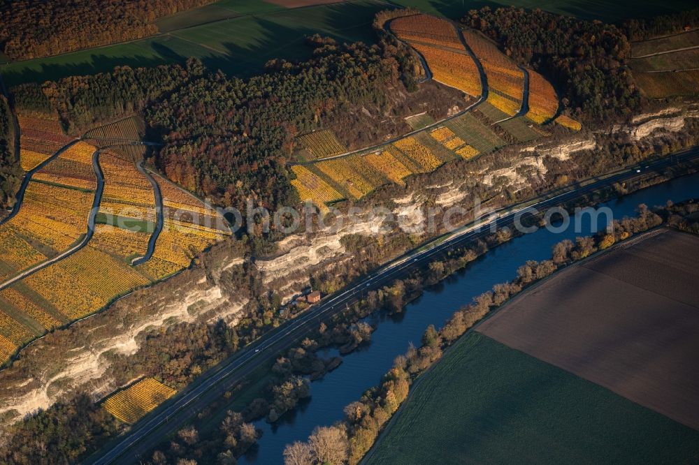 Karlstadt from above - Fields of wine cultivation landscape on the Main river in Karlstadt in the state Bavaria, Germany