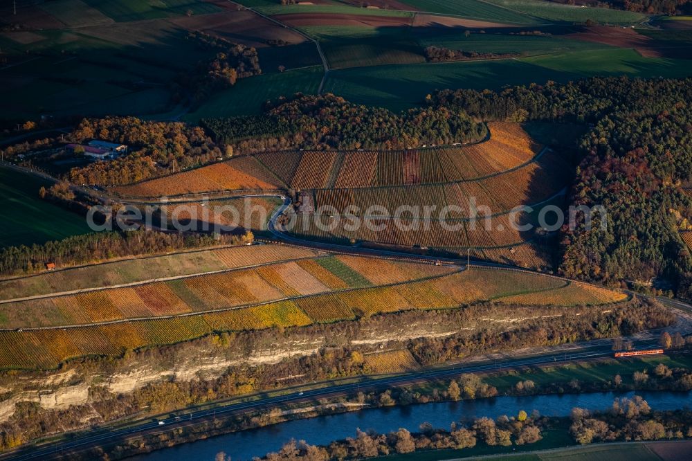 Karlstadt from the bird's eye view: Fields of wine cultivation landscape on the Main river in Karlstadt in the state Bavaria, Germany