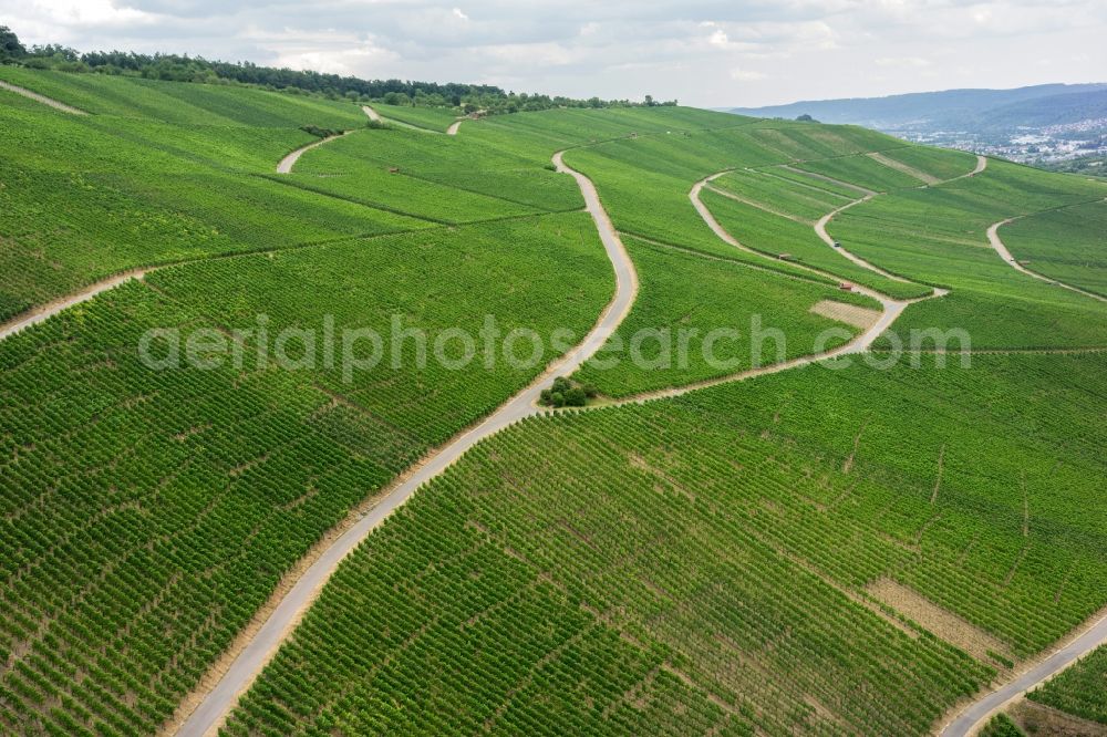 Kleinheppach from above - Fields of wine cultivation landscape in Kleinheppach in the state Baden-Wuerttemberg