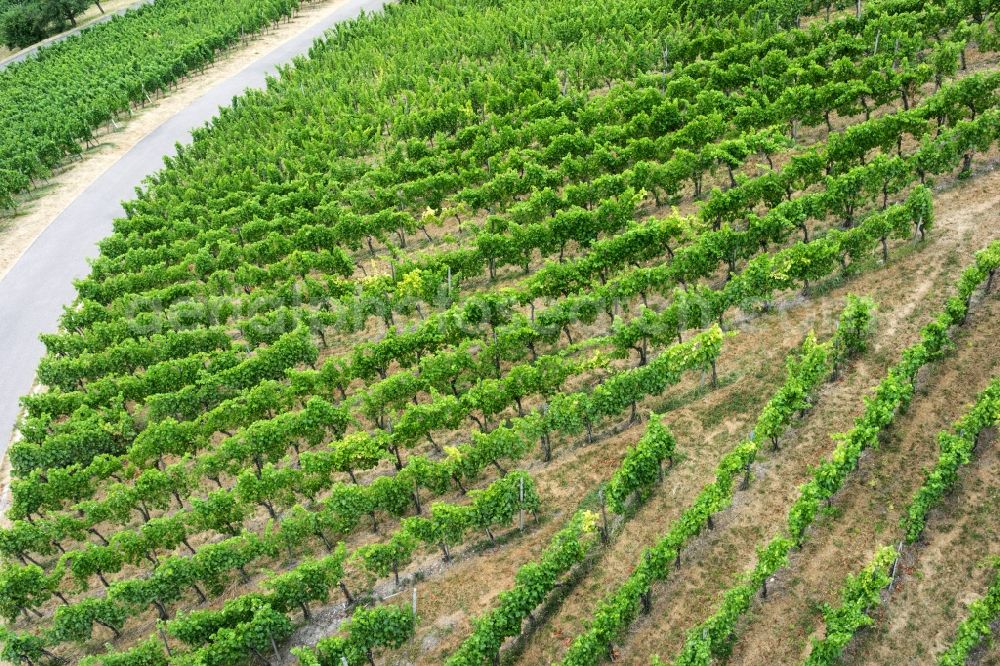 Aerial photograph Kleinheppach - Fields of wine cultivation landscape in Kleinheppach in the state Baden-Wuerttemberg