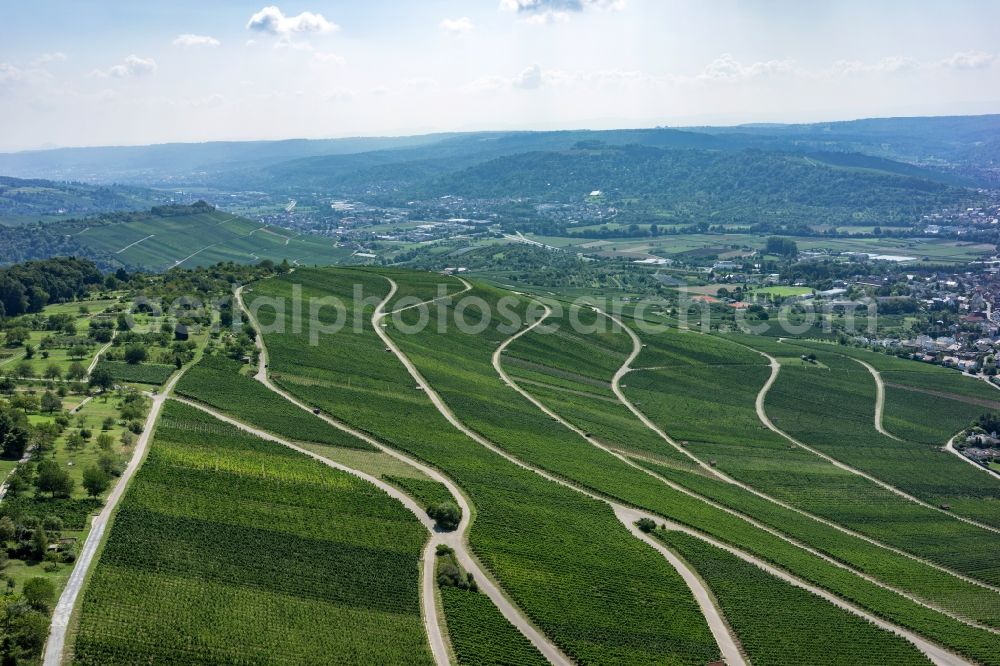 Aerial image Korb - Fields of wine cultivation landscape in Korb in the state Baden-Wuerttemberg