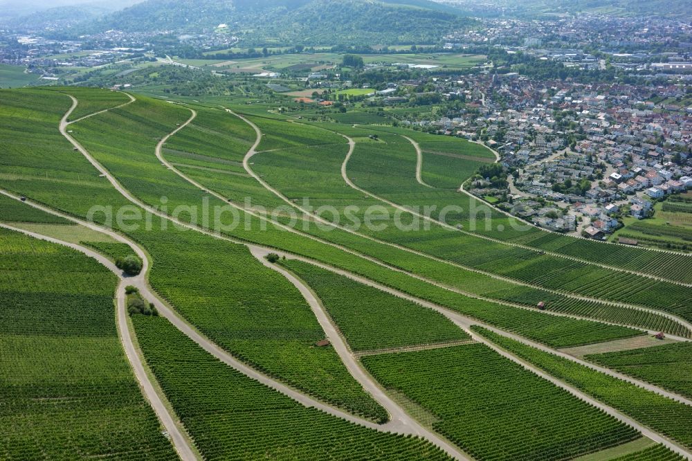 Aerial photograph Korb - Fields of wine cultivation landscape in Korb in the state Baden-Wuerttemberg