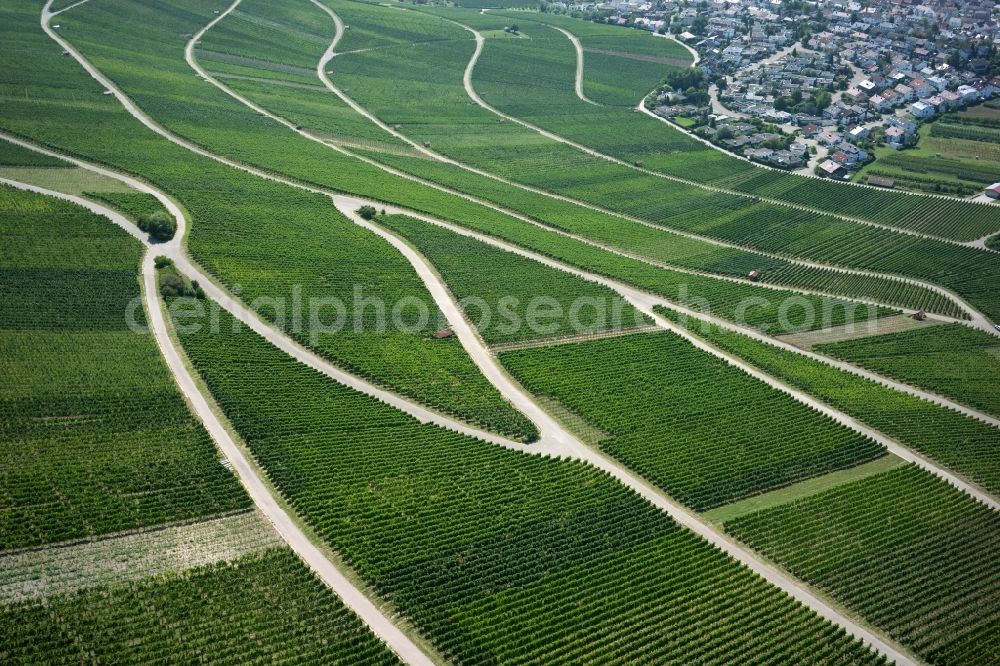 Aerial photograph Korb - Fields of wine cultivation landscape in Korb in the state Baden-Wuerttemberg