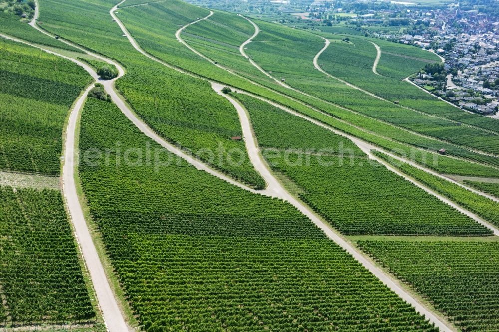 Korb from the bird's eye view: Fields of wine cultivation landscape in Korb in the state Baden-Wuerttemberg