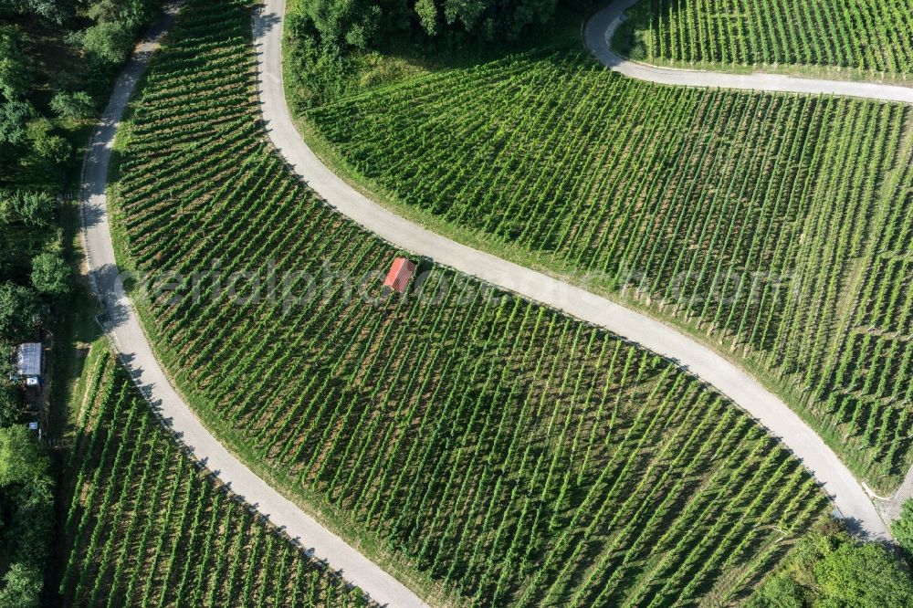 Korb from above - Fields of wine cultivation landscape in Korb in the state Baden-Wuerttemberg