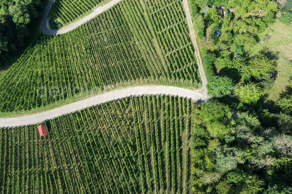 Korb from the bird's eye view: Fields of wine cultivation landscape in Korb in the state Baden-Wuerttemberg