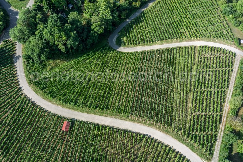 Aerial image Korb - Fields of wine cultivation landscape in Korb in the state Baden-Wuerttemberg