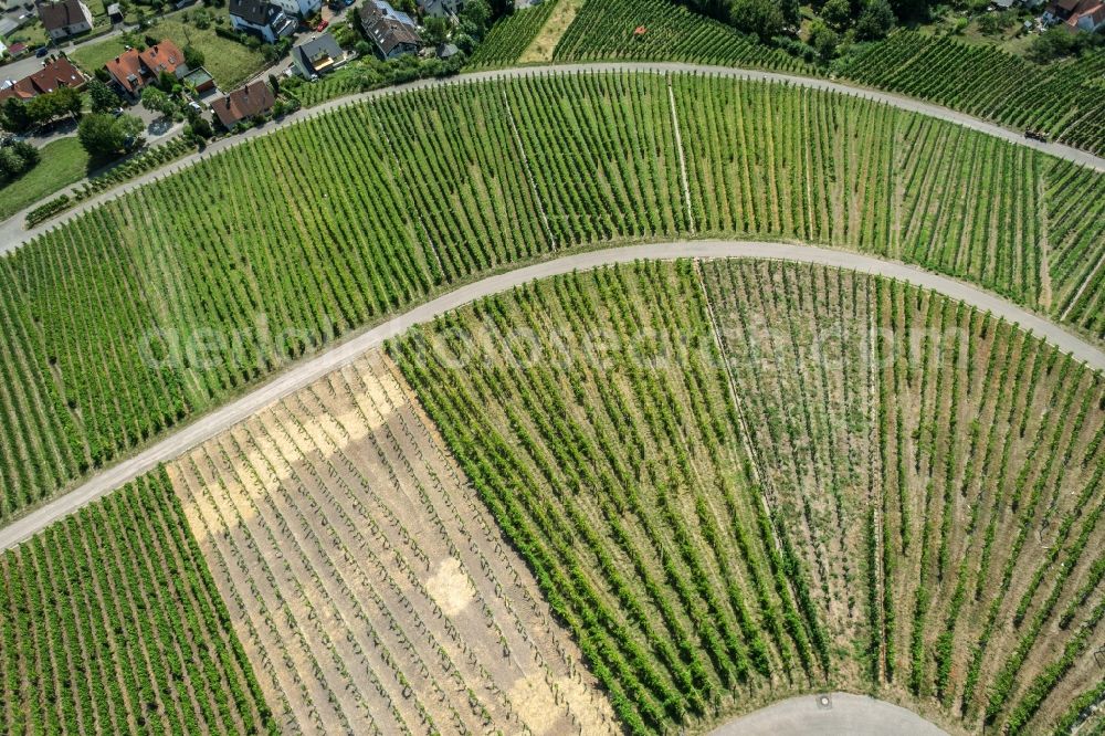 Korb from the bird's eye view: Fields of wine cultivation landscape in Korb in the state Baden-Wuerttemberg