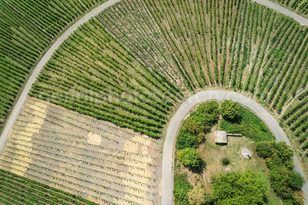 Aerial image Korb - Fields of wine cultivation landscape in Korb in the state Baden-Wuerttemberg