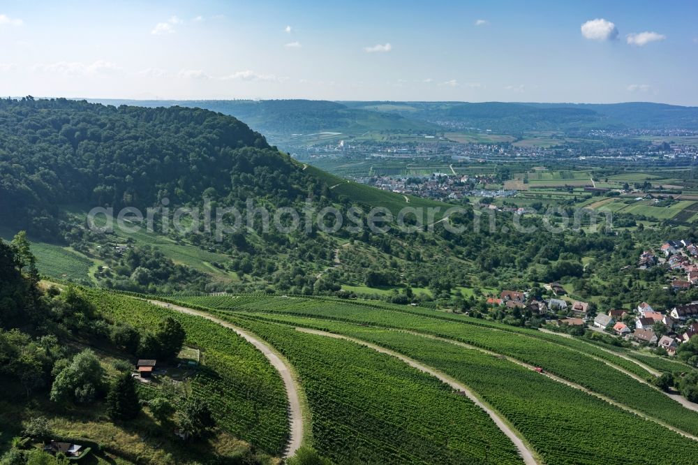 Korb from above - Fields of wine cultivation landscape in Korb in the state Baden-Wuerttemberg