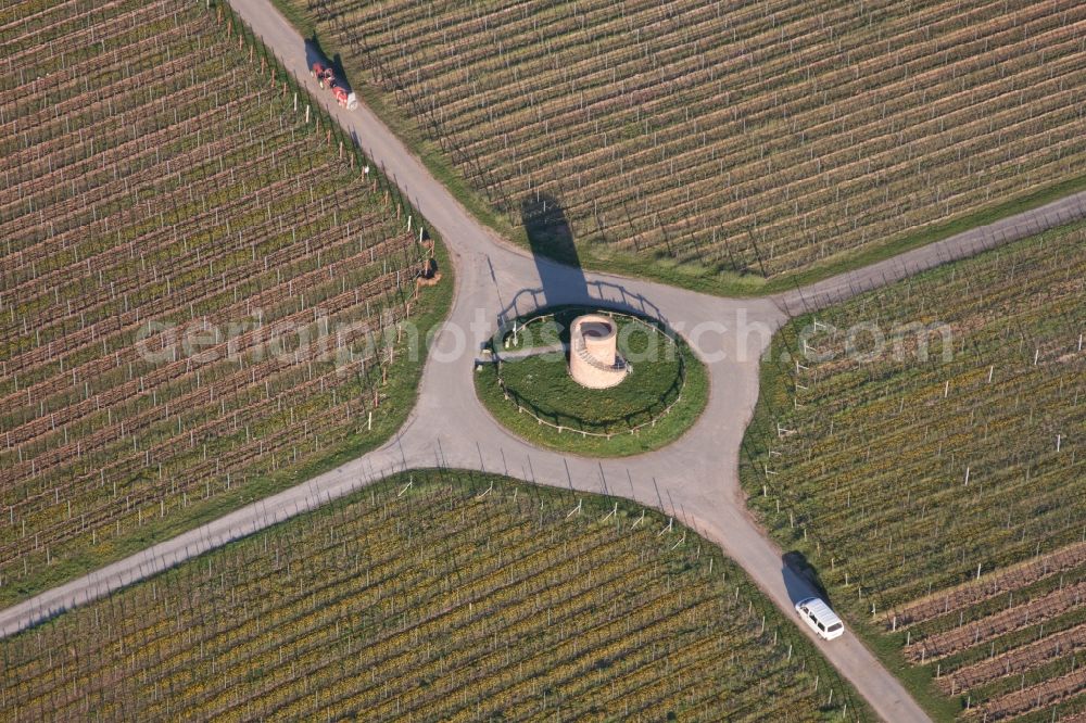 Hochstadt (Pfalz) from above - Fields of wine cultivation landscape in Hochstadt (Pfalz) in the state Rhineland-Palatinate