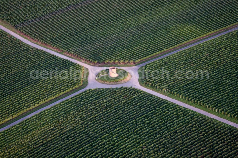 Aerial photograph Hochstadt (Pfalz) - Fields of wine cultivation landscape in Hochstadt (Pfalz) in the state Rhineland-Palatinate