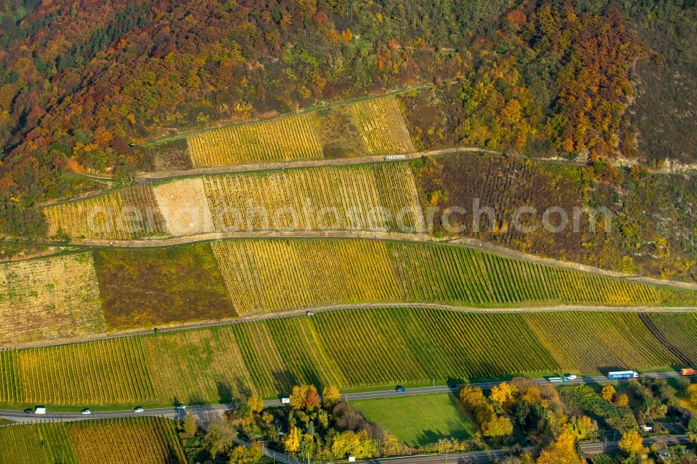 Leutesdorf from the bird's eye view: Fields of wine cultivation landscape in Leutesdorf in the state Rhineland-Palatinate