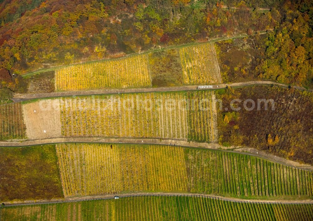 Aerial photograph Leutesdorf - Fields of wine cultivation landscape in Leutesdorf in the state Rhineland-Palatinate