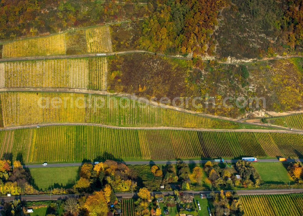 Leutesdorf from above - Fields of wine cultivation landscape in Leutesdorf in the state Rhineland-Palatinate