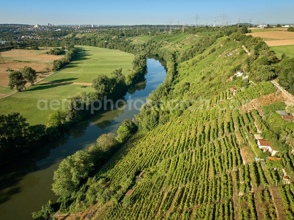 Aerial image Ludwigsburg - Fields and steep slopes of a vineyard and vine landscape of the winegrowing areas in the Neckar Valley in Ludwigsburg in the state of Baden-Wuerttemberg, Germany