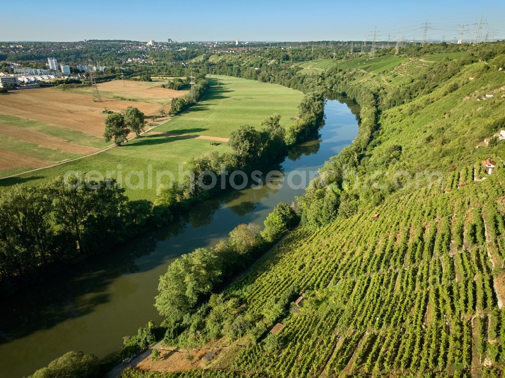 Ludwigsburg from above - Fields and steep slopes of a vineyard and vine landscape of the winegrowing areas in the Neckar Valley in Ludwigsburg in the state of Baden-Wuerttemberg, Germany