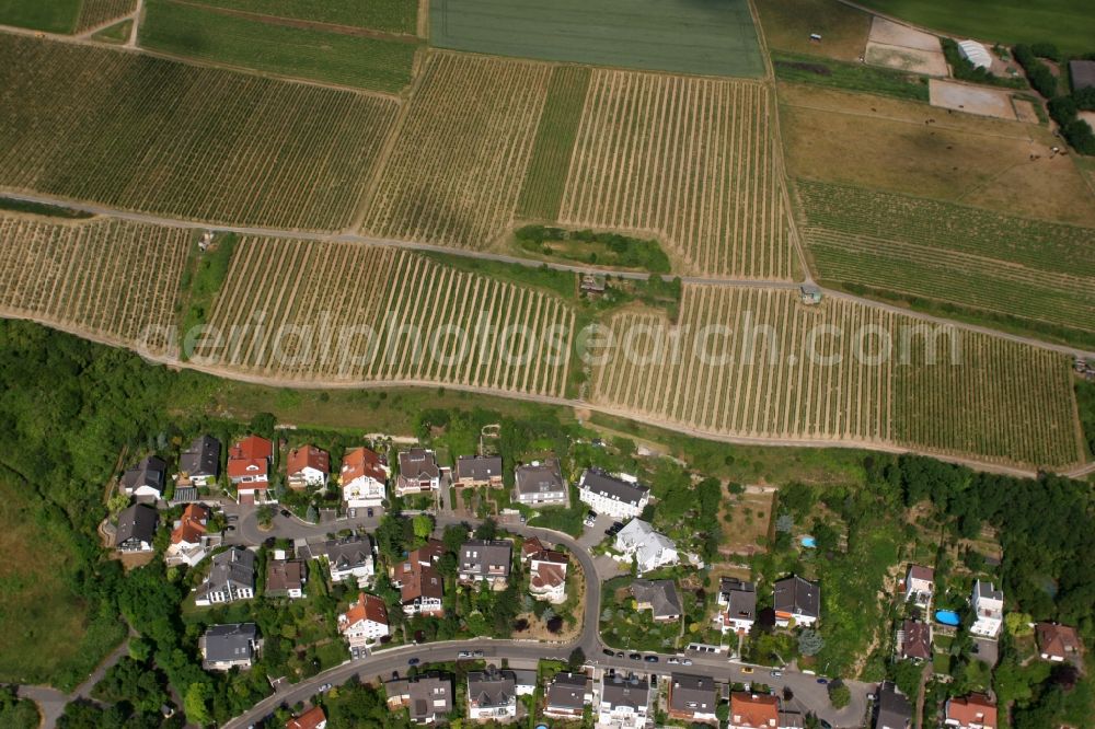 Mainz, Laubenheim from the bird's eye view: Fields of wine cultivation landscape in Mainz, Laubenheim in the state Rhineland-Palatinate