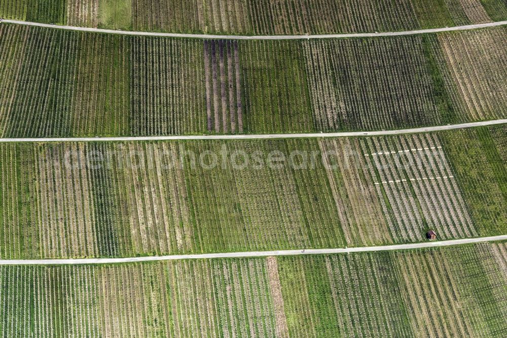 Aerial photograph Metzingen - Fields of wine cultivation landscape in Metzingen in the state Baden-Wuerttemberg, Germany