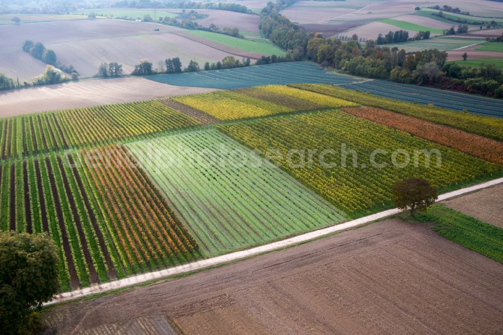 Minfeld from above - Fields of wine cultivation landscape in Minfeld in the state Rhineland-Palatinate