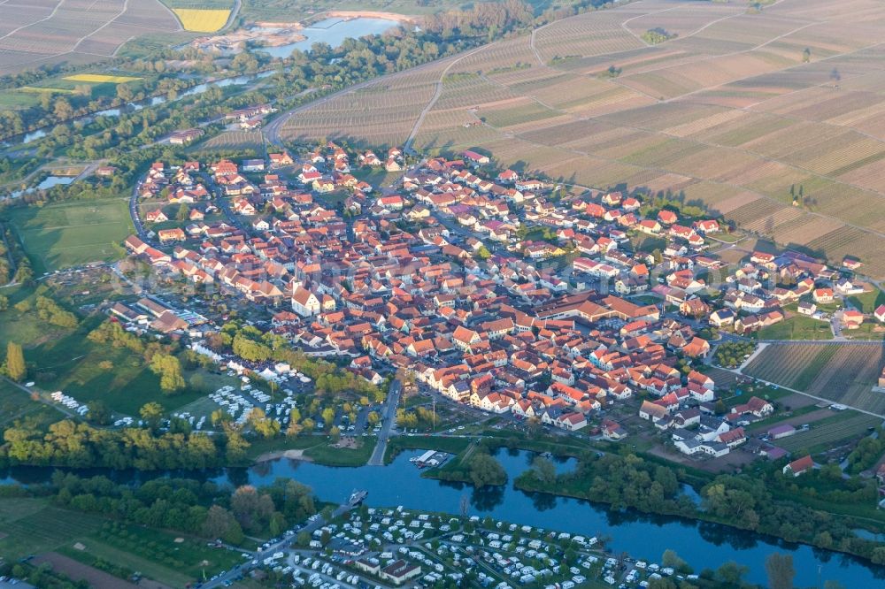 Nordheim am Main from above - Fields of wine cultivation landscape in Nordheim am Main in the state Bavaria, Germany