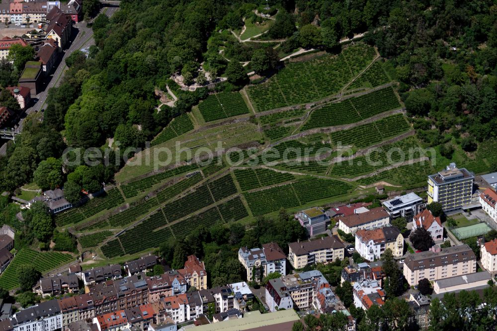 Aerial image Oberau - Fields of wine cultivation landscape in Oberau in the state Baden-Wuerttemberg, Germany