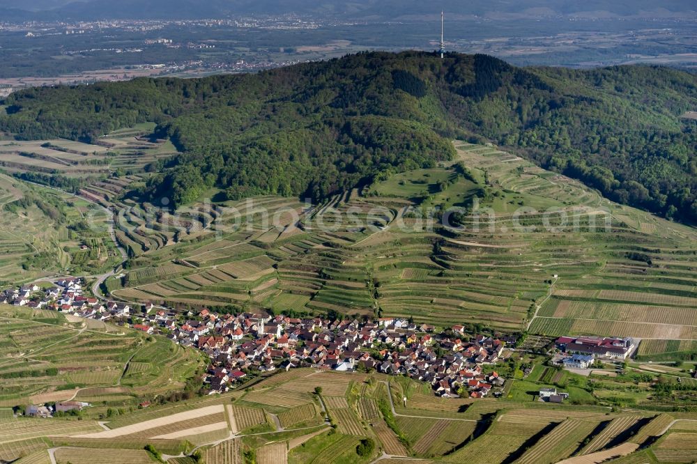 Oberbergen from the bird's eye view: Fields of wine cultivation landscape in Oberbergen in the state Baden-Wuerttemberg