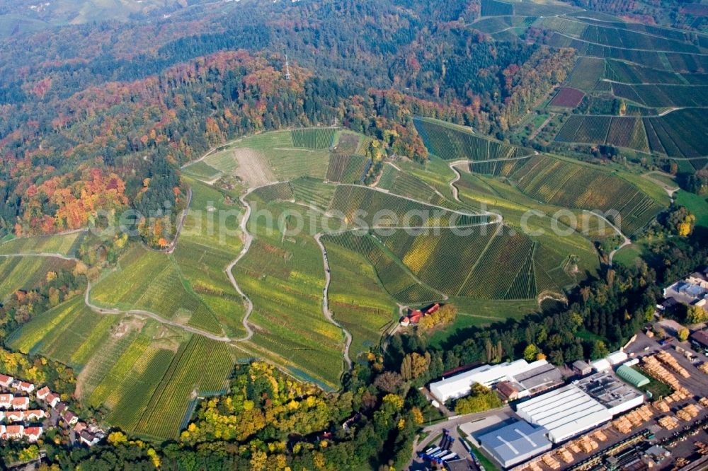 Aerial image Achern - Fields of wine cultivation landscape above sawmill in the district Oberachern in Achern in the state Baden-Wuerttemberg