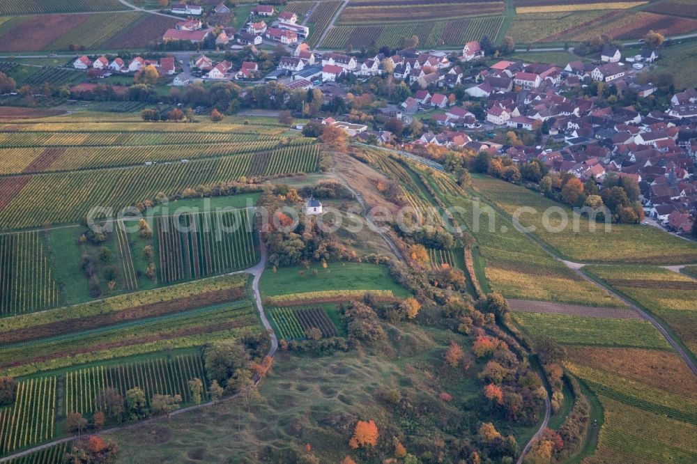 Aerial image Landau in der Pfalz - Fields of a vineyard scenery of the winegrowers areas in the district of home Arz with the Catholic chapel Kleine Kalmit in Landau in the Palatinate in the federal state Rhineland-Palatinate