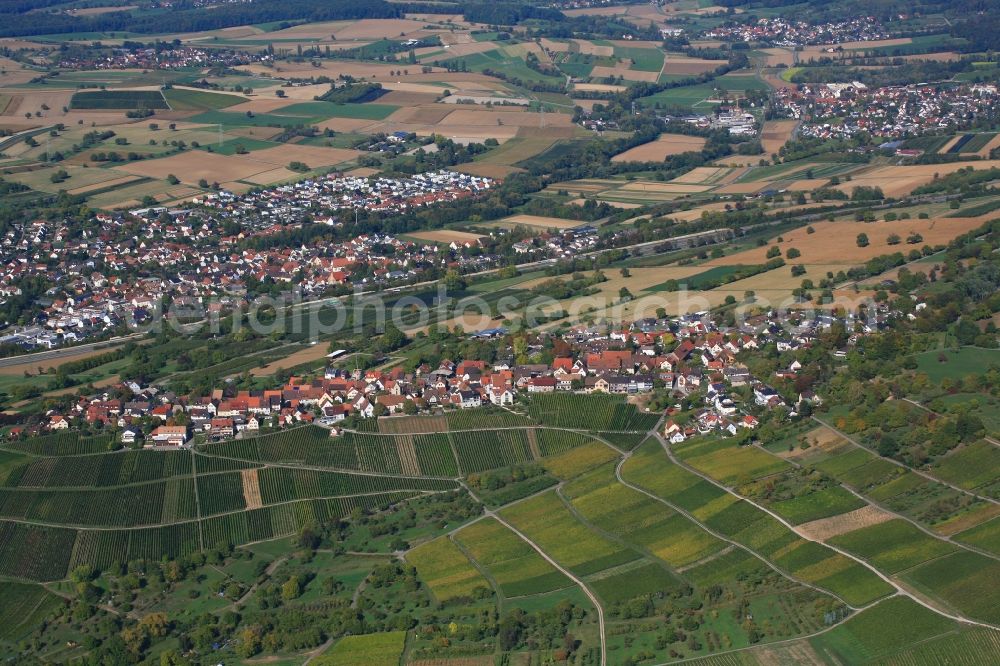 Aerial photograph Weil am Rhein - Fields of wine cultivation landscape in the district Oetlingen in Weil am Rhein in the state Baden-Wurttemberg, Germany