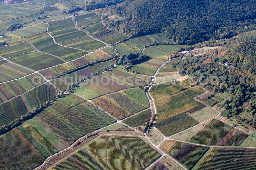 Neustadt an der Weinstraße from above - Fields of wine cultivation landscape in the district Hambach in Neustadt an der Weinstrasse in the state Rhineland-Palatinate