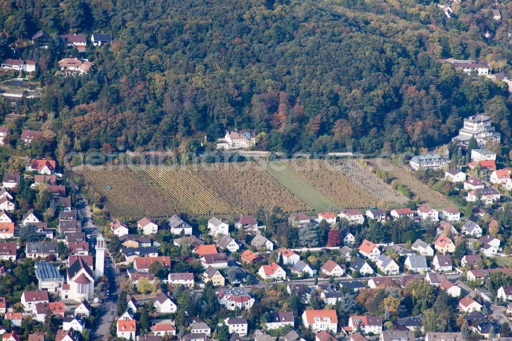 Neustadt an der Weinstraße from above - Fields of wine cultivation landscape in the district Hambach in Neustadt an der Weinstrasse in the state Rhineland-Palatinate