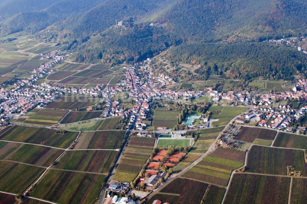 Neustadt an der Weinstraße from the bird's eye view: Fields of wine cultivation landscape in the district Hambach in Neustadt an der Weinstrasse in the state Rhineland-Palatinate