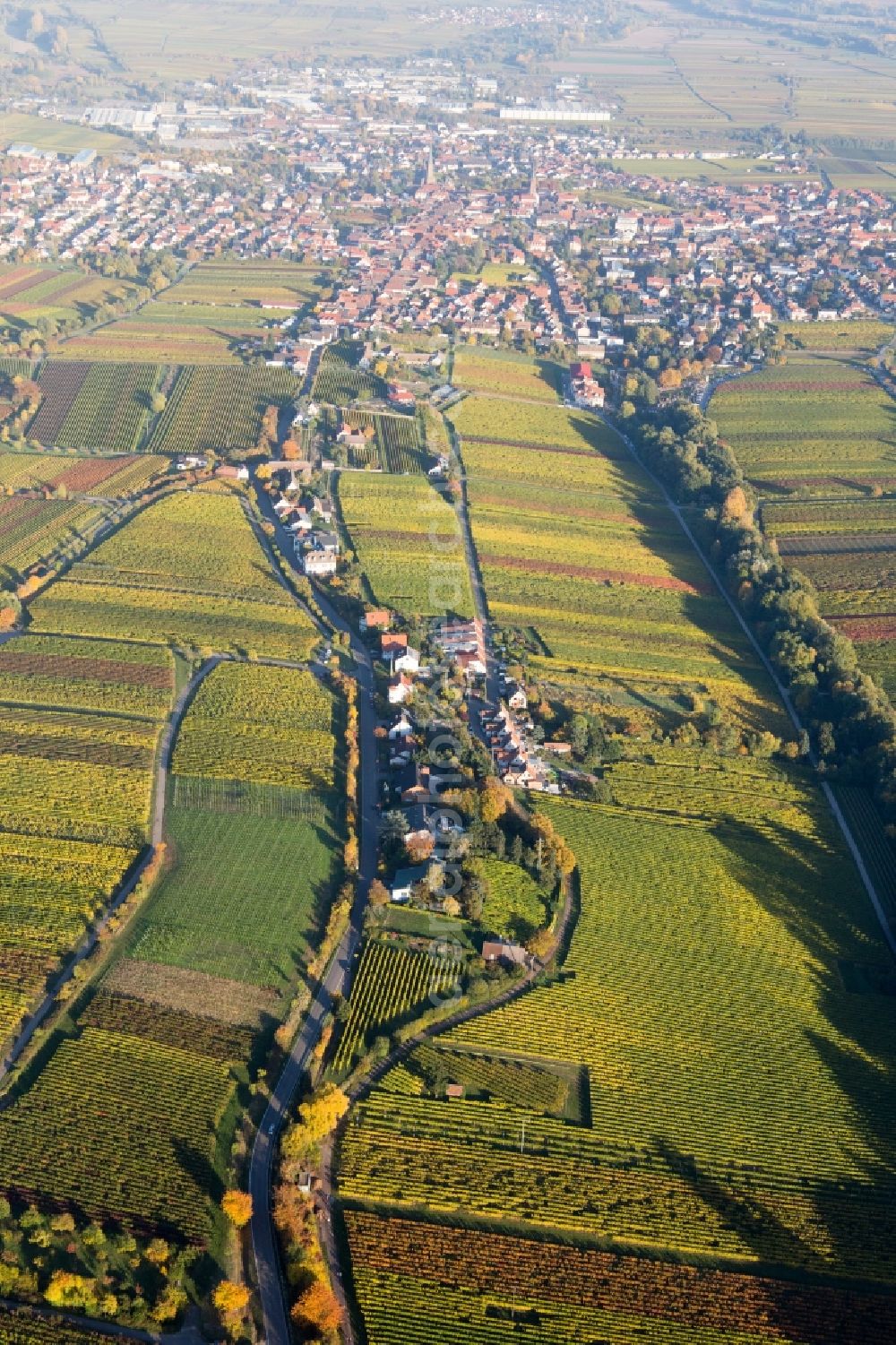 Edenkoben from above - Fields of wine cultivation landscape in the district Siedlung in Edenkoben in the state Rhineland-Palatinate