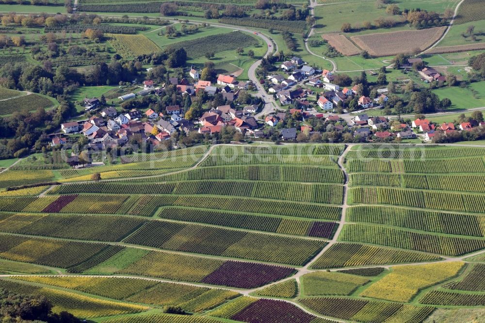 Müllheim from the bird's eye view: Fields of wine cultivation in the landscape around district Zunzingen in Muellheim in the state Baden-Wurttemberg, Germany