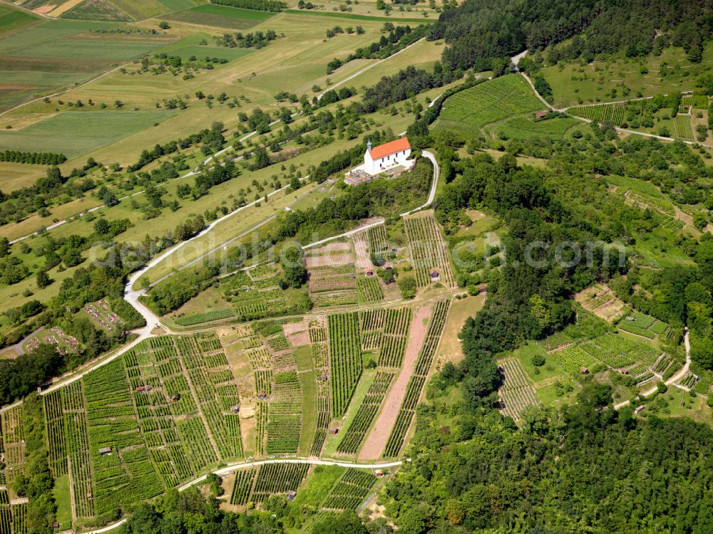 Rottenburg am Neckar from the bird's eye view: Fields of wine cultivation landscape in Rottenburg am Neckar in the state Baden-Wuerttemberg, Germany